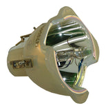 Model-10-LAMP