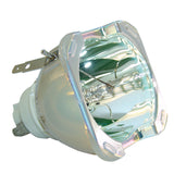 D8300LT-LAMP-BULB-ONLY