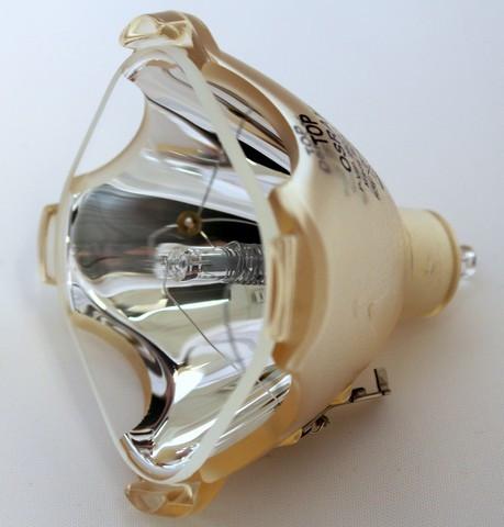 EVSX1 Bulb