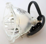 HD61LPW167YX1 Bulb
