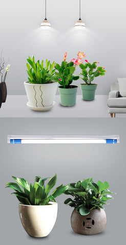philips led plant grow light Philips 537944