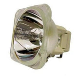P1165 Bulb
